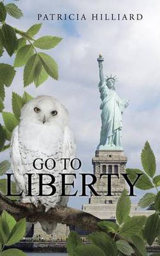 Cover image for Go to Liberty