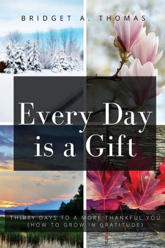 Cover image for Every Day Is a Gift: Thirty Days to a More Thankful You (How to Grow in Gratitude)