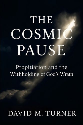Cover image for The Cosmic Pause