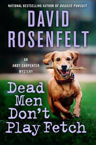 Cover image for Dead Men Don't Play Fetch