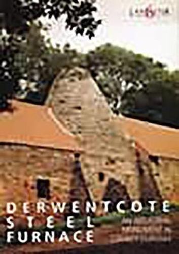 Cover image for Derwentcote Steel Furnace: An Industrial monument in County Durham