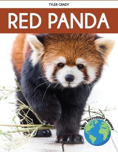 Cover image for Red Panda