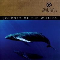 Cover image for Journey Of The Whales