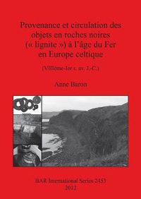 Cover image for Provenance et circulation des objets en roches noires (  lignite  ) a l'age du Fer en Europe celtique (VIIIeme-Ier s. av. J.-C.): (VIIIeme-Ier s. av. J.-C.)