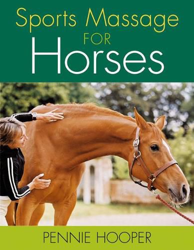 Cover image for Sports Massage for Horses