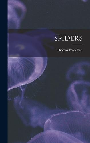 Cover image for Spiders