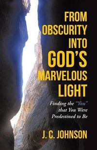 Cover image for From Obscurity into God's Marvelous Light: Finding the You that You Were Predestined to Be