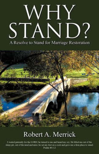 Cover image for Why Stand?