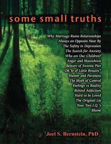 Cover image for Some Small Truths