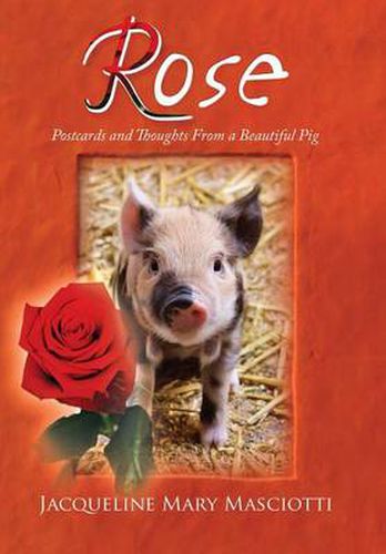 Cover image for Rose - Postcards and Thoughts from a Beautiful Pig