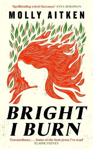 Cover image for Bright I Burn