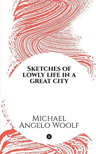 Cover image for Sketches of lowly life in a great city