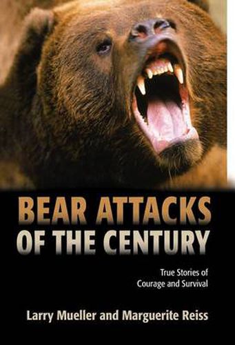 Cover image for Bear Attacks of the Century: True Stories Of Courage And Survival
