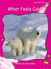 Cover image for Red Rocket Readers: Emergent Non-Fiction Set A: What Feels Cold? Big Book Edition (Reading Level 2/F&P Level B)