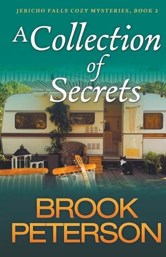 Cover image for A Collection of Secrets