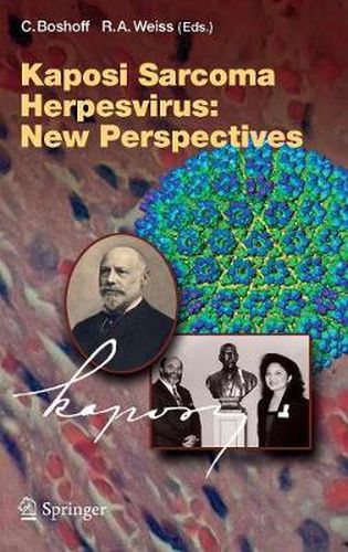 Cover image for Kaposi Sarcoma Herpesvirus: New Perspectives