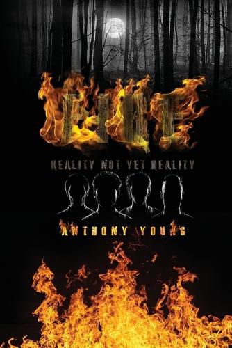 Cover image for Fire