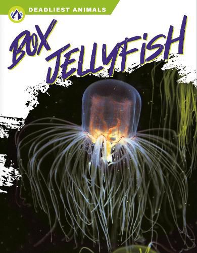 Cover image for Deadliest Animals: Box Jellyfish