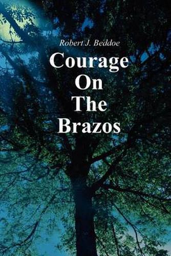 Cover image for Courage on the Brazos