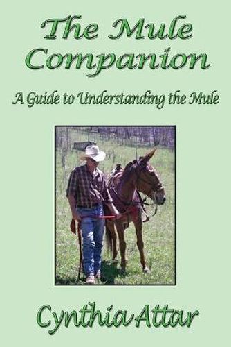 Cover image for The Mule Companion: A Guide to Understanding the Mule