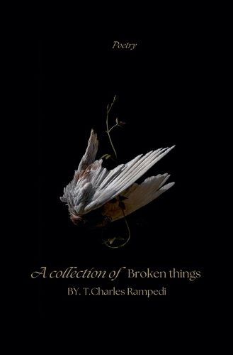Cover image for A Collection Of Broken Things