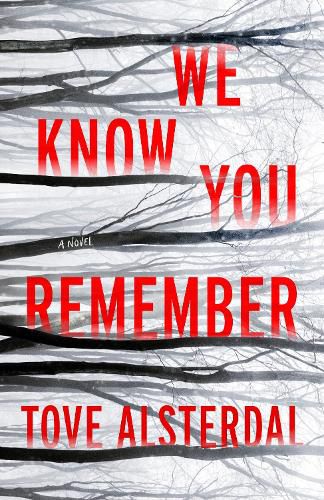 Cover image for We Know You Remember