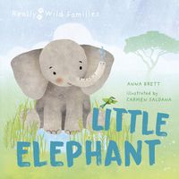 Cover image for Little Elephant: A Day in the Life of a Elephant Calf
