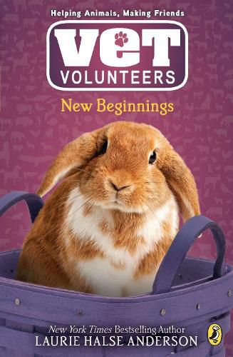 Cover image for New Beginnings