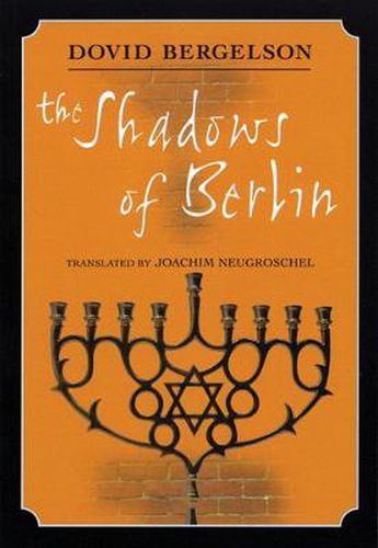 Cover image for The Shadows of Berlin: The Berlin Stories of Dovid Bergelson