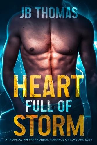 Cover image for Heart Full of Storm