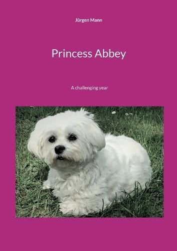 Cover image for Princess Abbey