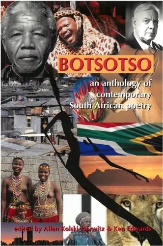 Cover image for Botsotso
