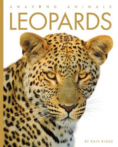 Leopards