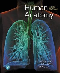Cover image for Human Anatomy