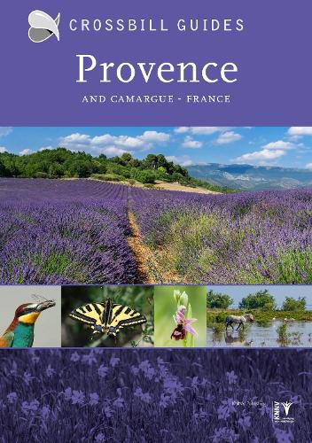 Cover image for Provence: And Camargue, France