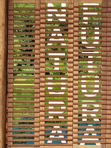 Cover image for Natura Futura