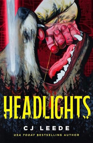 Cover image for Headlights