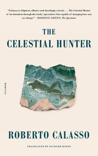 Cover image for The Celestial Hunter
