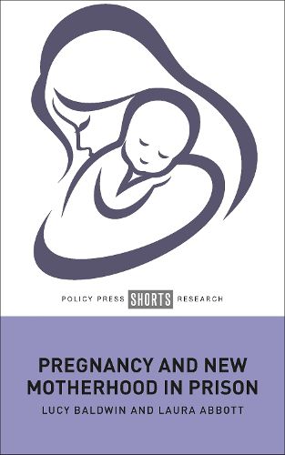 Cover image for Pregnancy and New Motherhood in Prison