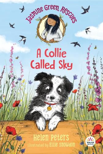 Cover image for Jasmine Green Rescues: A Collie Called Sky