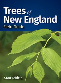 Cover image for Trees of New England Field Guide