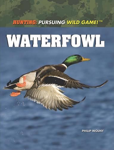 Waterfowl