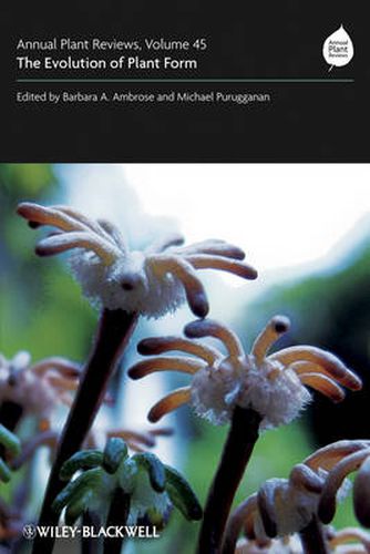 Cover image for Annual Plant Reviews: The Evolution of Plant Form