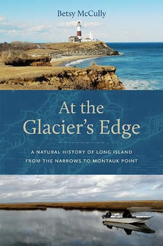 Cover image for At the Glacier's Edge