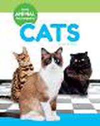 Cover image for Cats