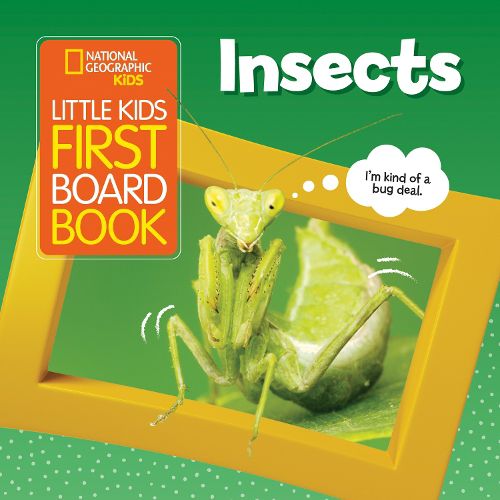 Cover image for Little Kids First Board Book Insects