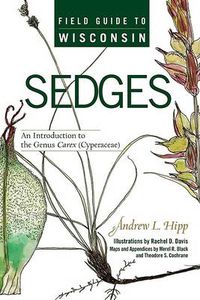 Cover image for Field Guide to Wisconsin Sedges: An Introduction to the Genus Carex (Cyperaceae)