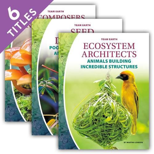 Cover image for Team Earth Set