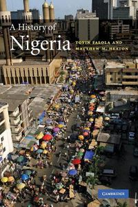 Cover image for A History of Nigeria