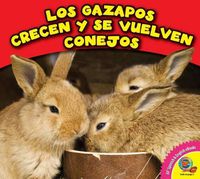 Cover image for Los Gazapos Crecen y Se Vuelven Conejos